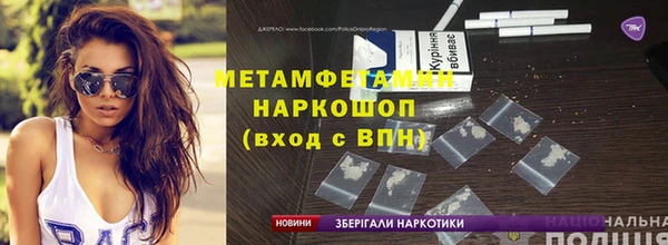 ПСИЛОЦИБИНОВЫЕ ГРИБЫ Богданович
