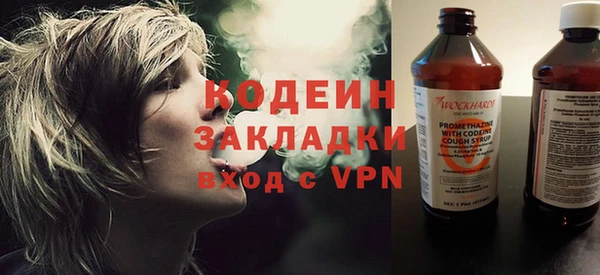 ПСИЛОЦИБИНОВЫЕ ГРИБЫ Богданович