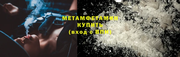 ПСИЛОЦИБИНОВЫЕ ГРИБЫ Богданович