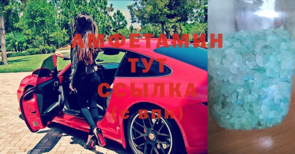 ПСИЛОЦИБИНОВЫЕ ГРИБЫ Богданович