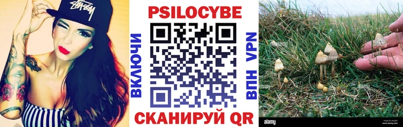 Псилоцибиновые грибы Psilocybe  Копейск 